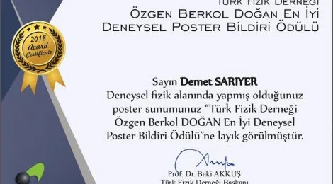 Özgen Berkol Doğan En İyi Deneysel Poster Bildiri Ödülü