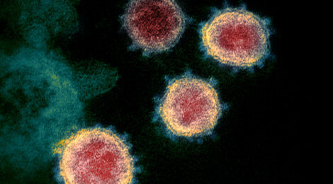 Virüsle Yaşam: Dünyada ve Ülkemizde Son Durum