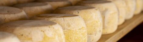 Köy Yaşamını Destekleme Projeleri ve Boğatepe Peynirciliği